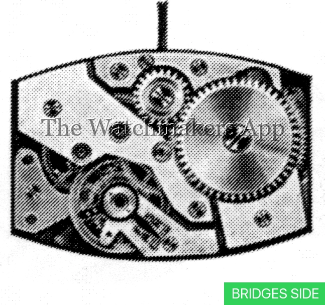 AM 355