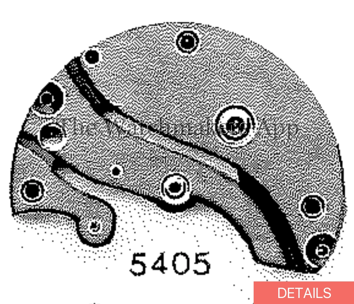 AM 455