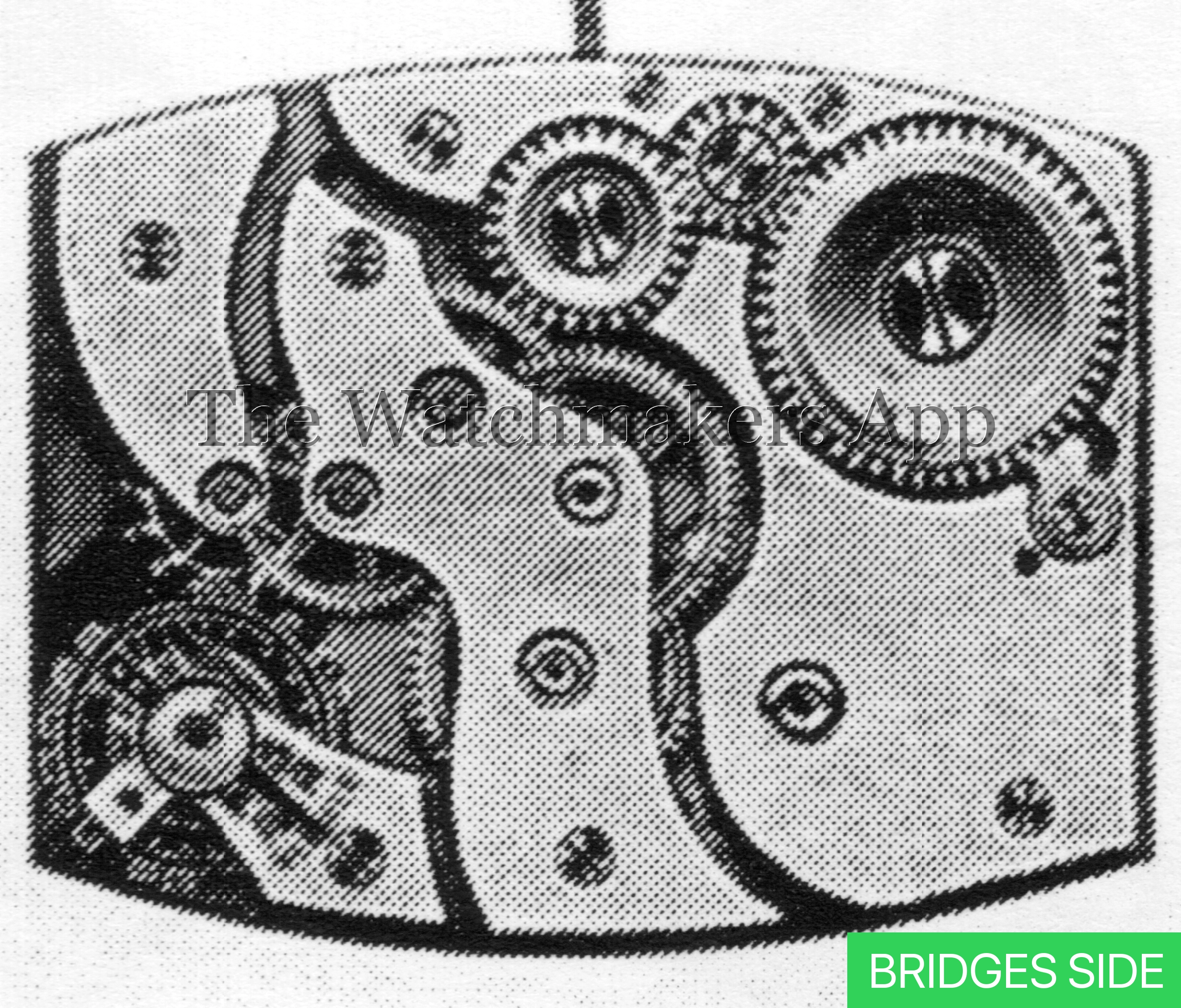 AM 50