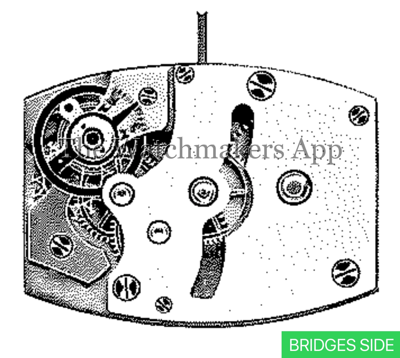 AM 530