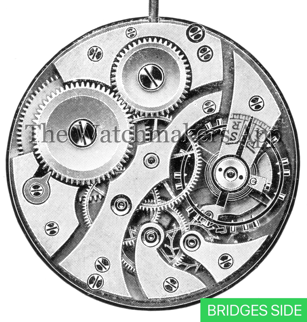 AM 54, open face