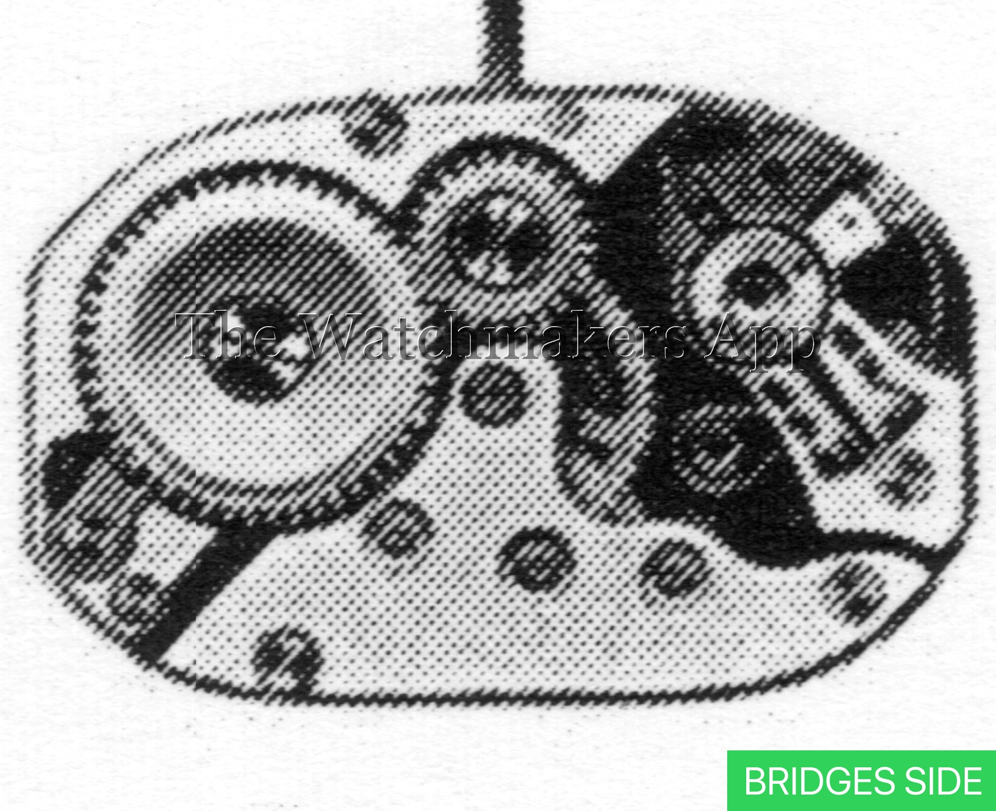 AM 65 A