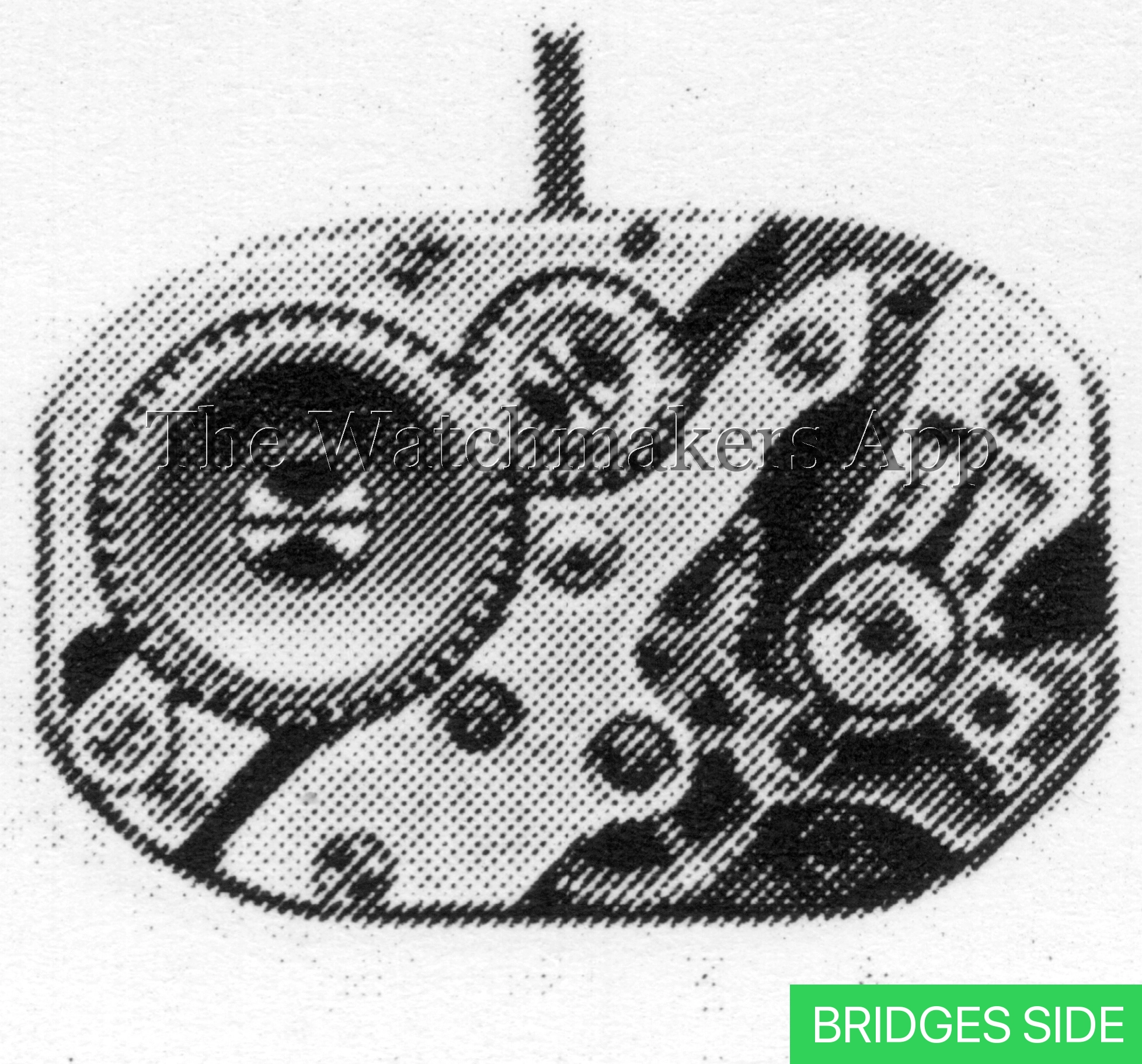 AM 71