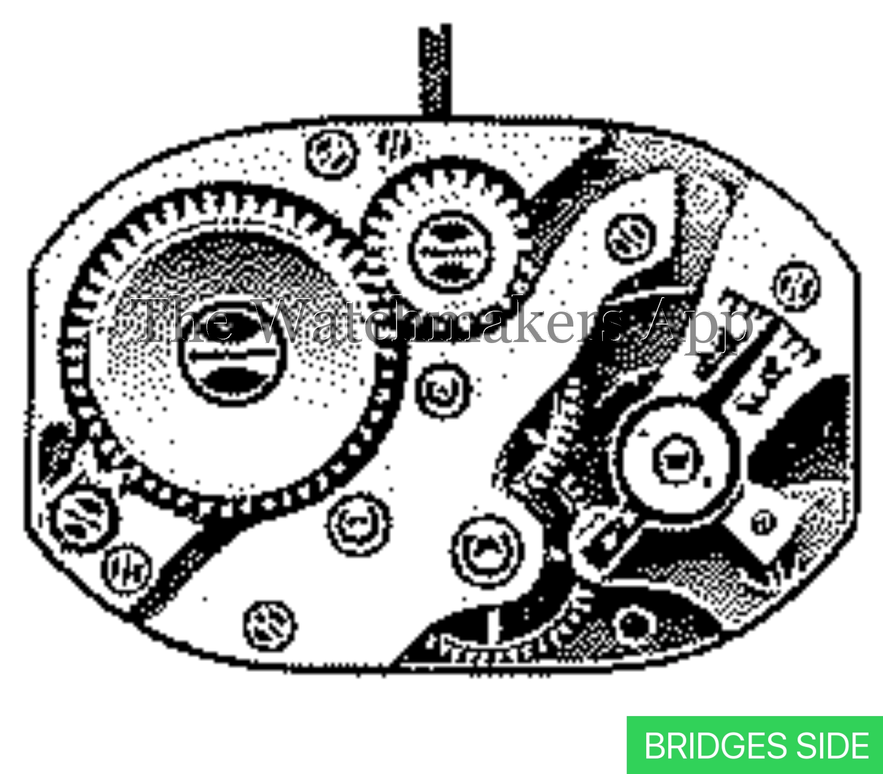 AM 73
