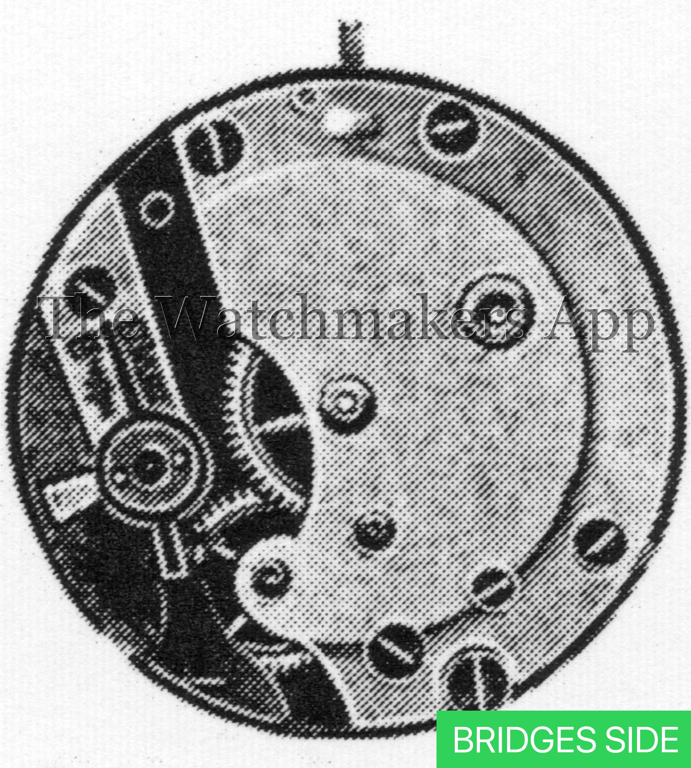 AS 111 3/4 plat.