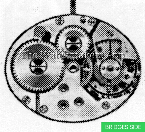 AS 1111