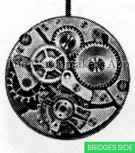 AS 1115