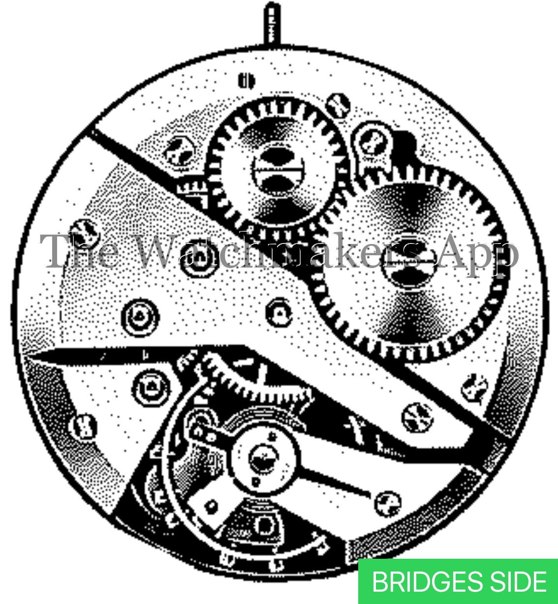 AS 1206