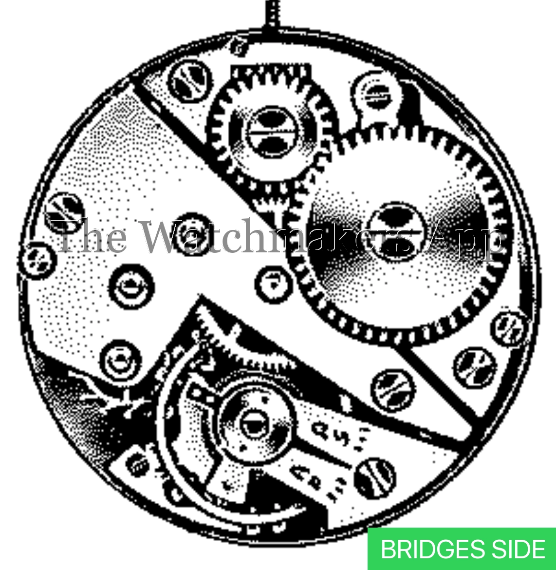 AS 1215