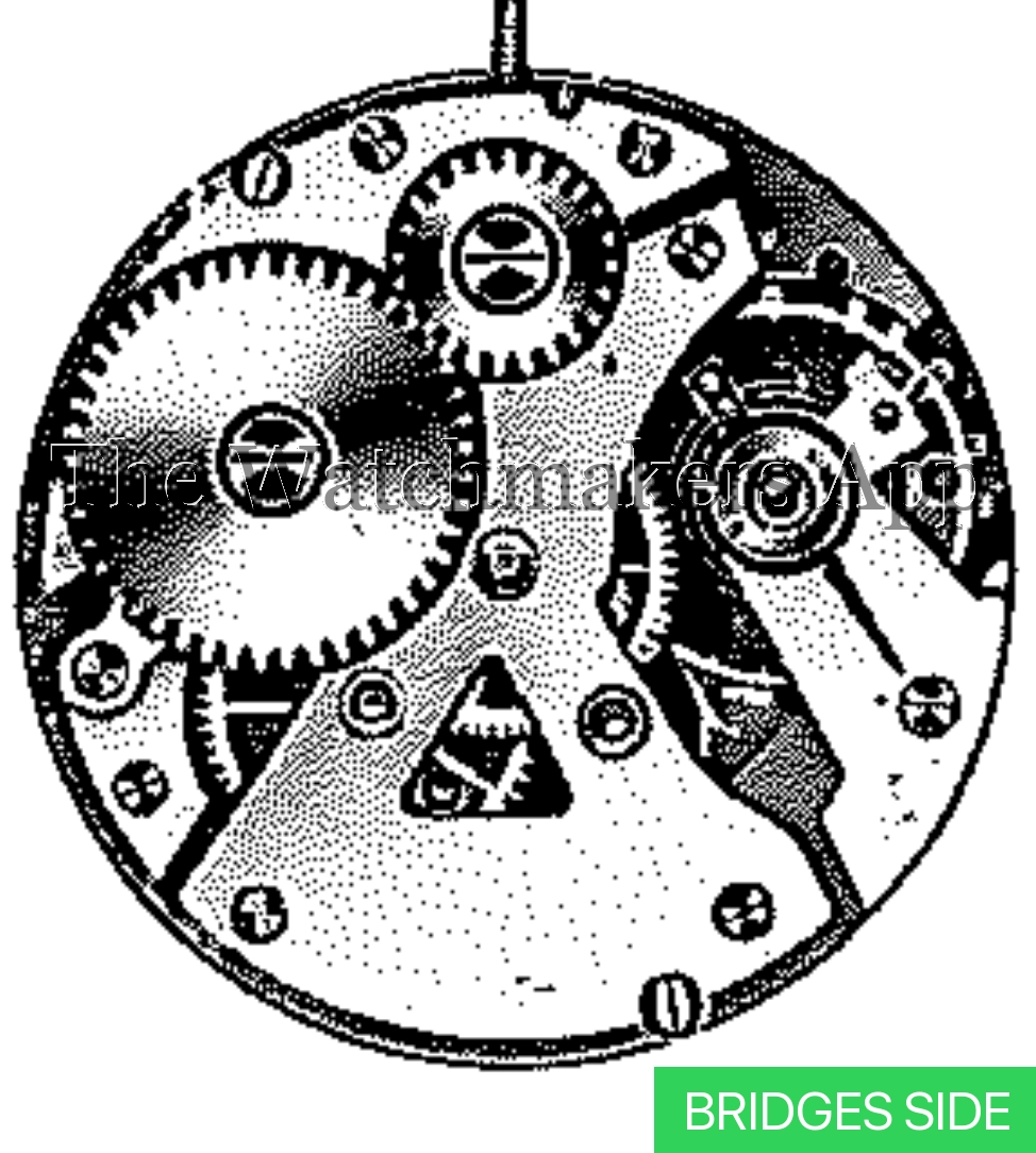 AS 1351