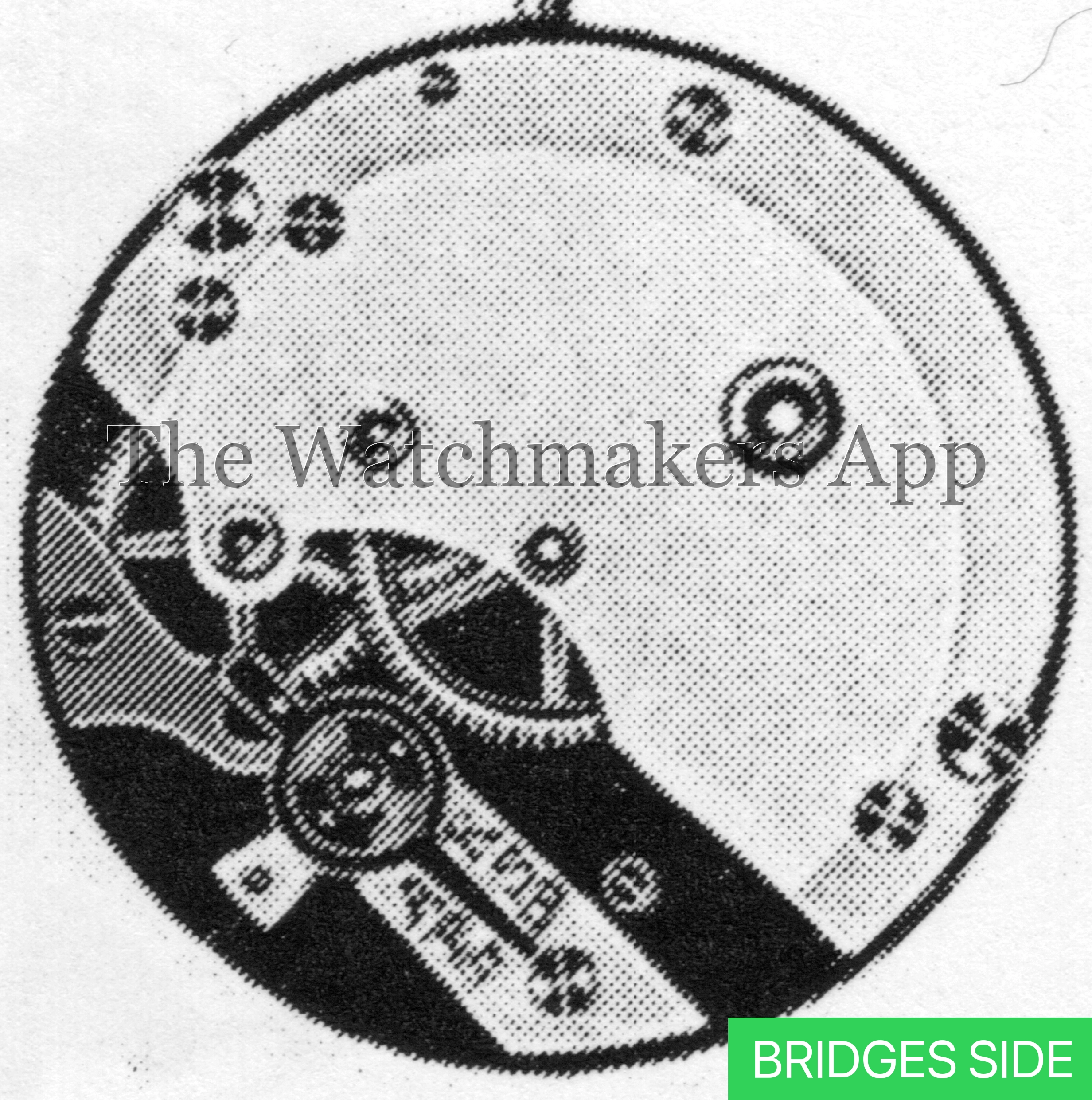AS 177 3/4 plat.