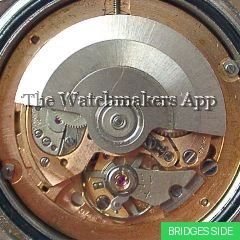 AS 1995