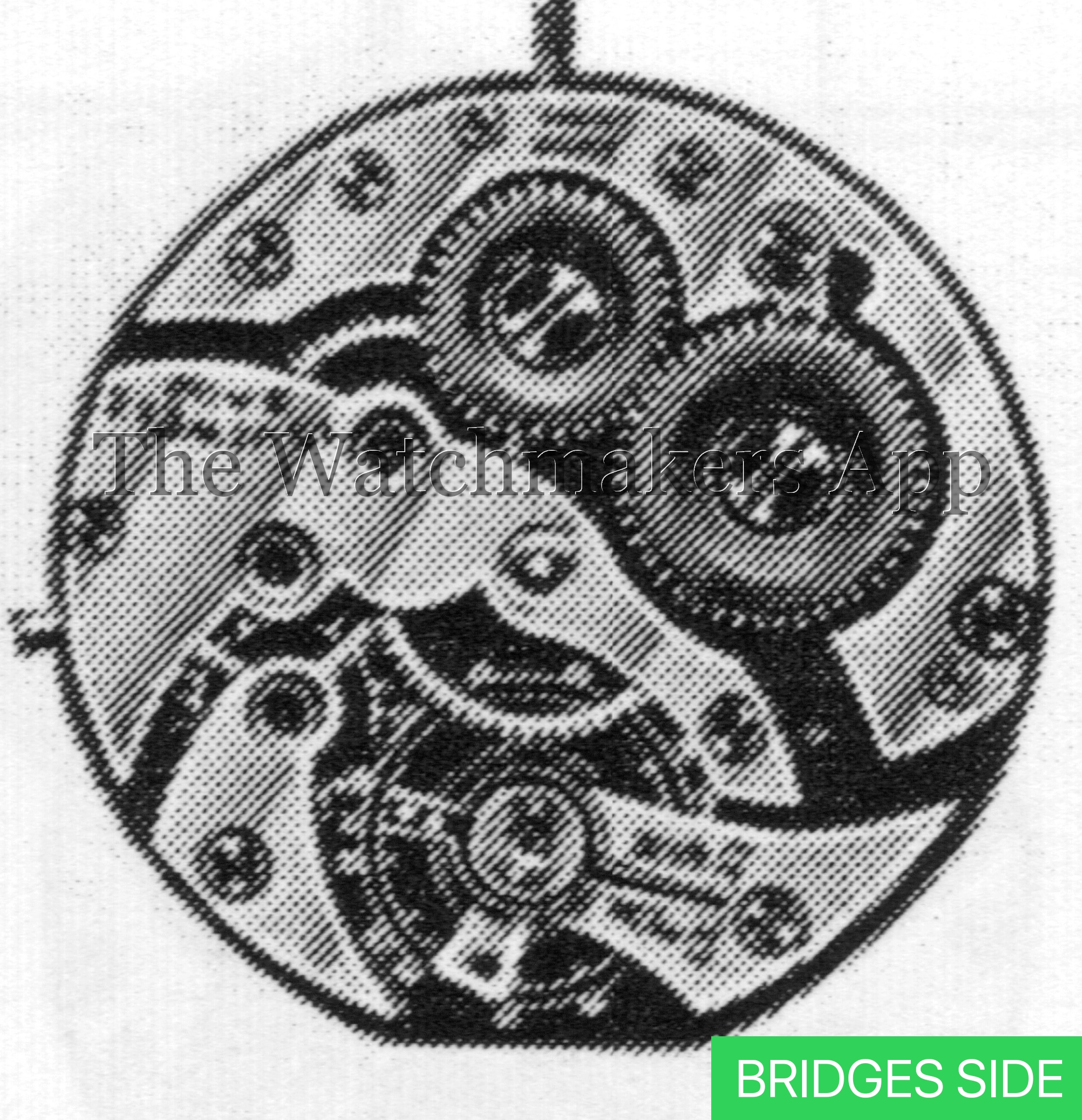 AS 364