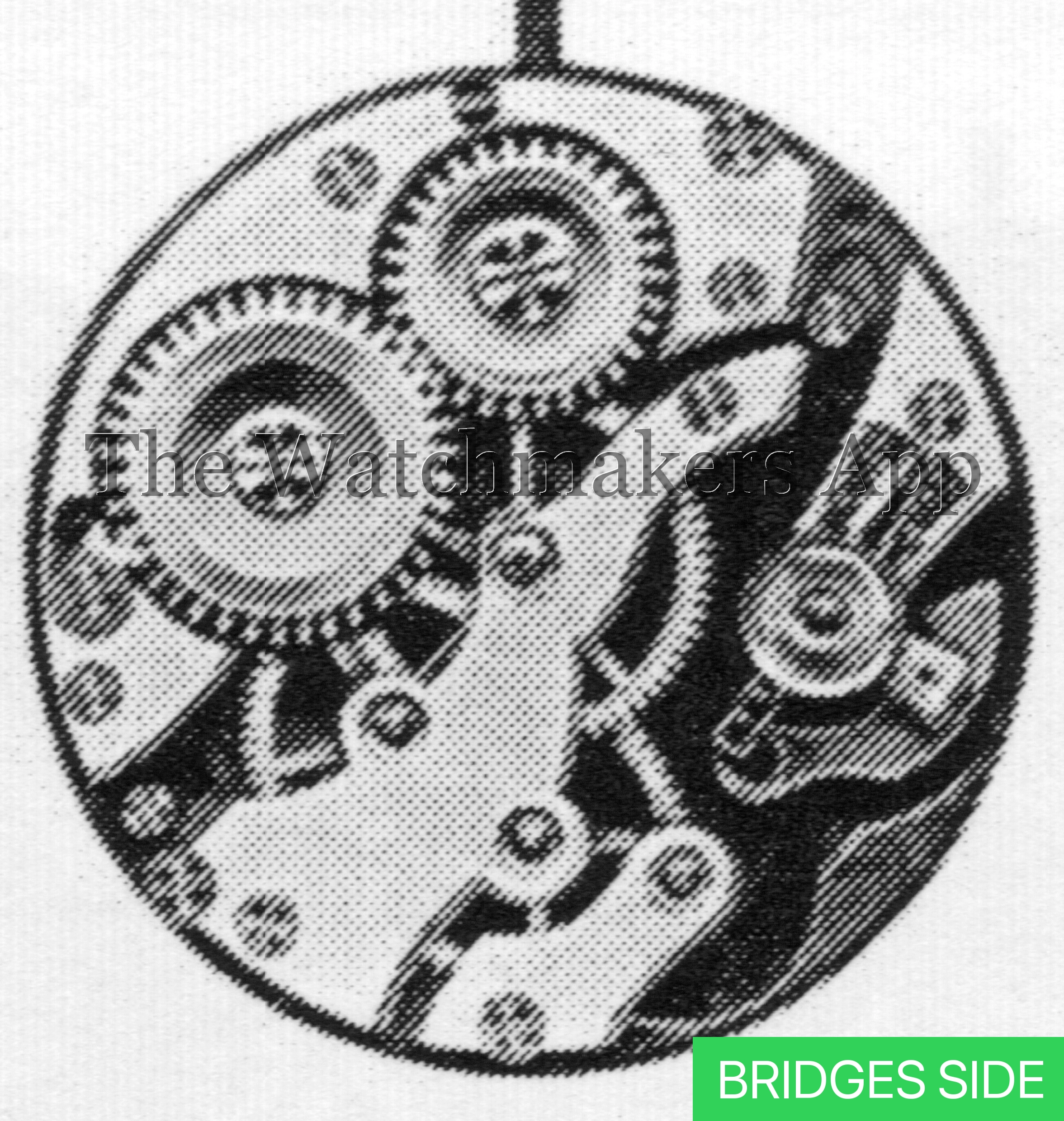 AS 371