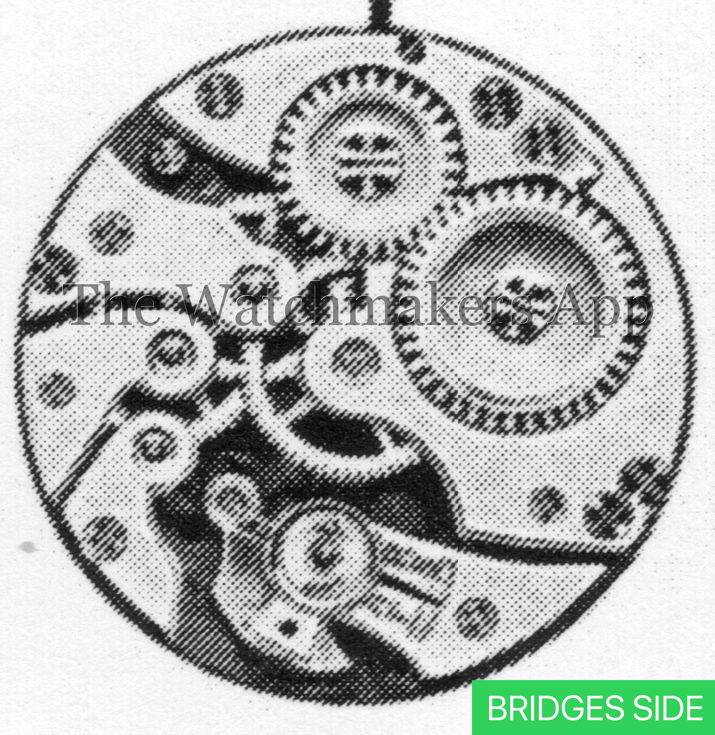 AS 531