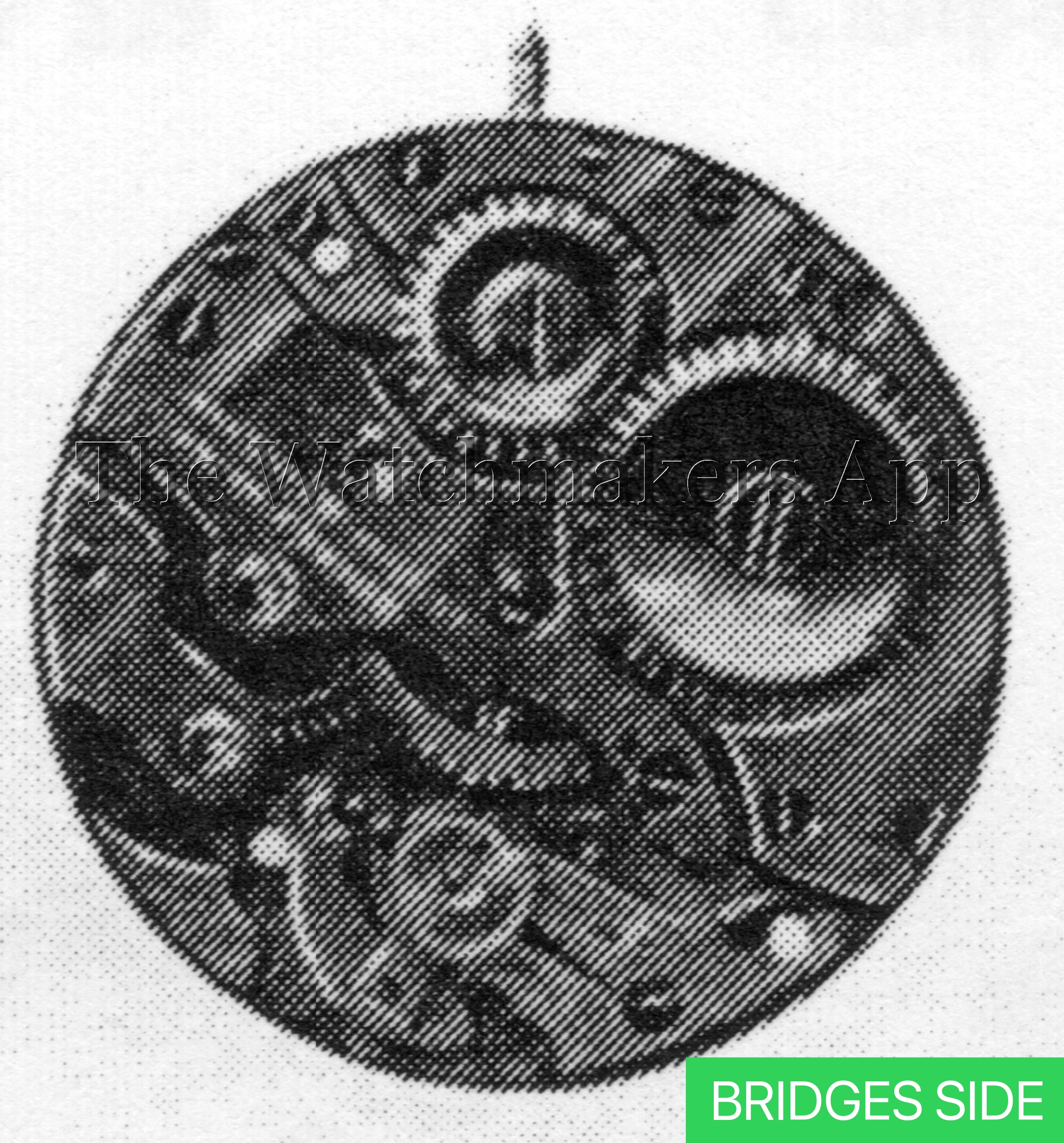 AS 583