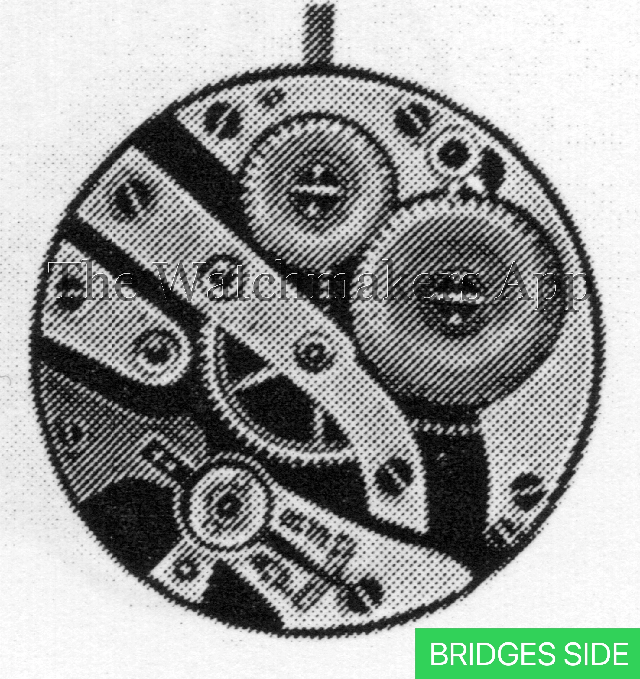 AS 613