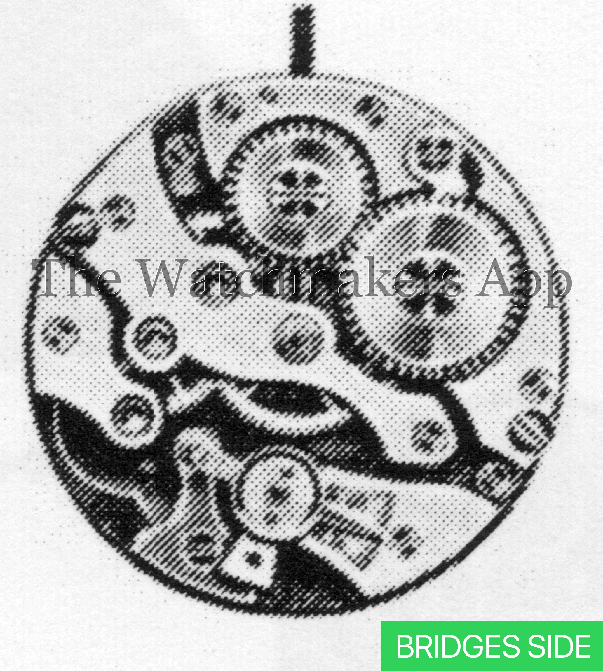 AS 692