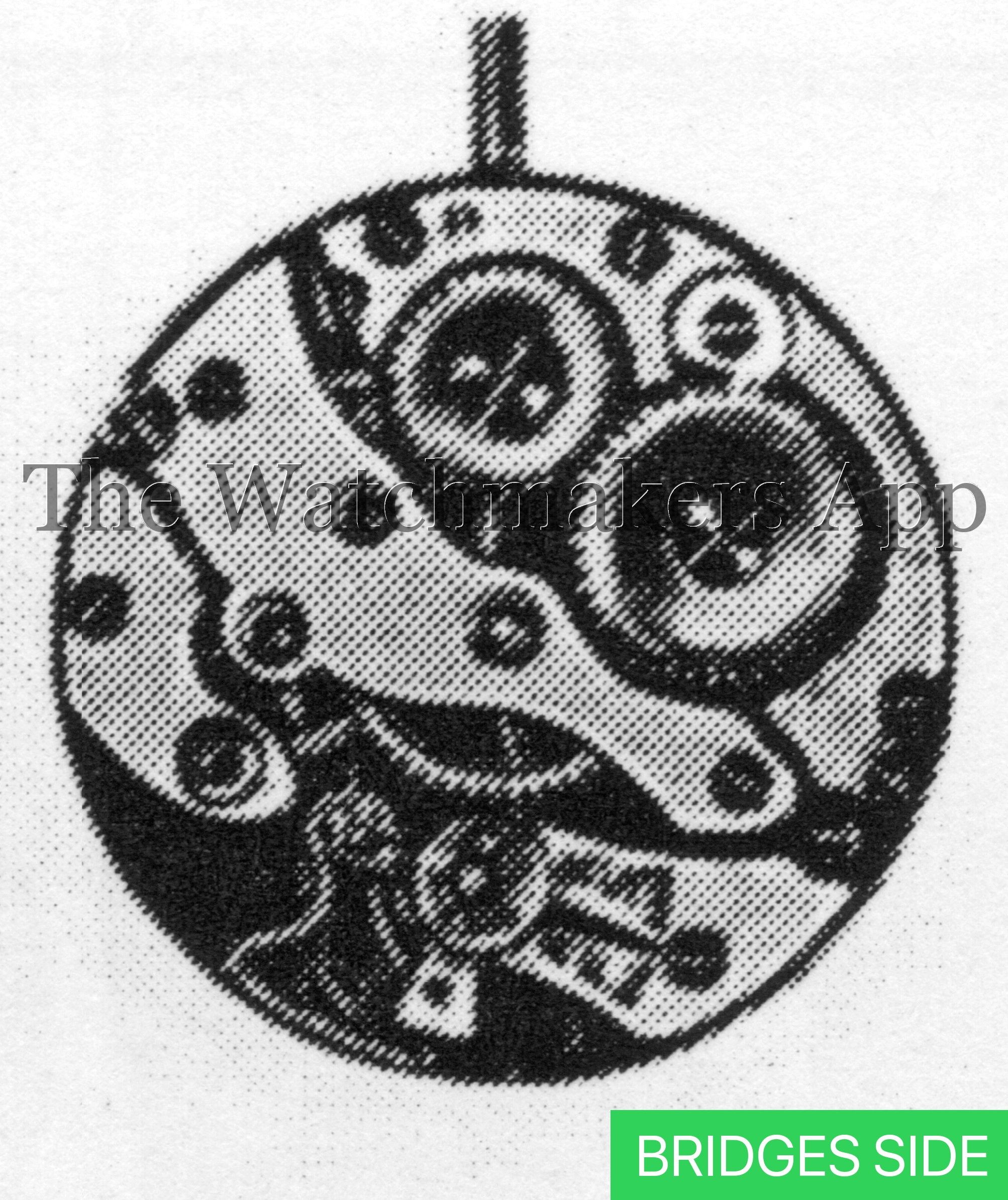 AS 701