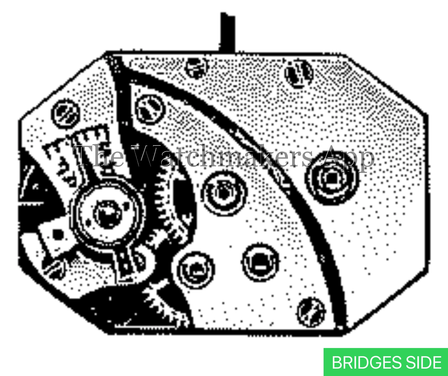 AS 846