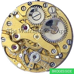 Berger 14