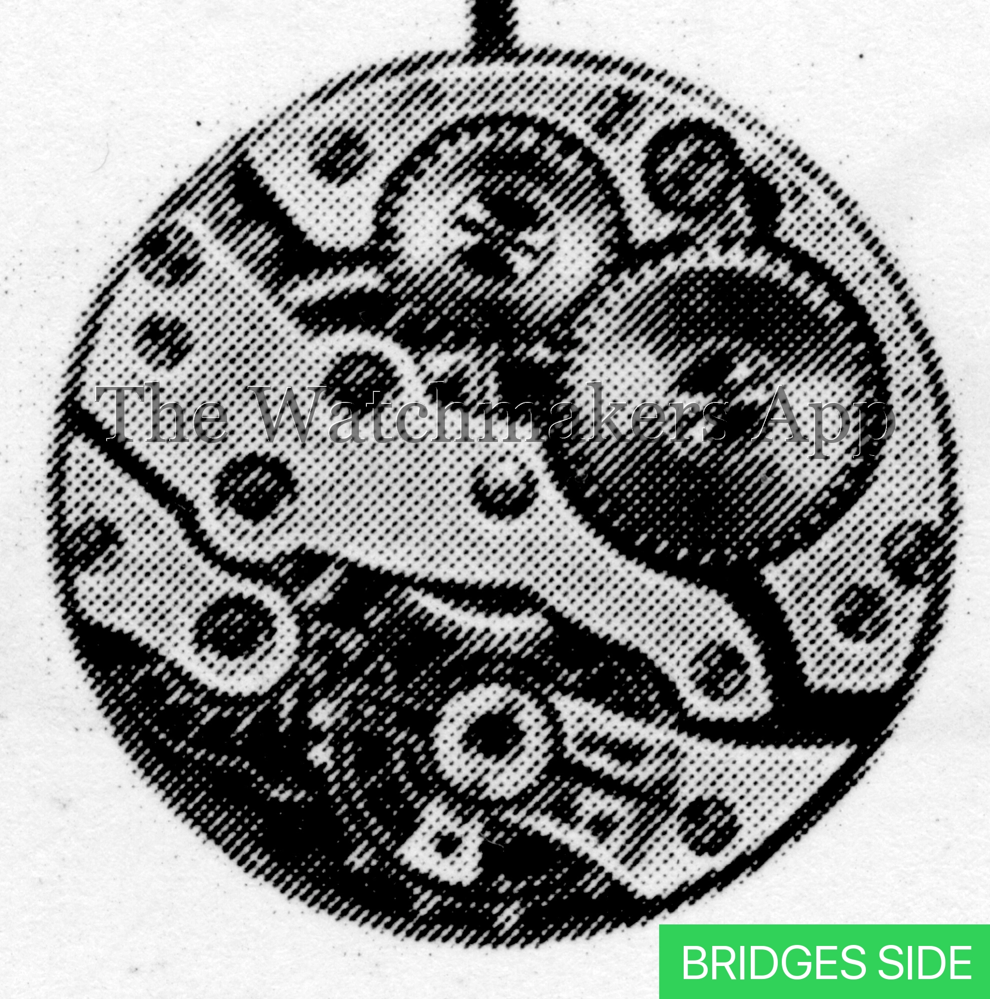Berger 16
