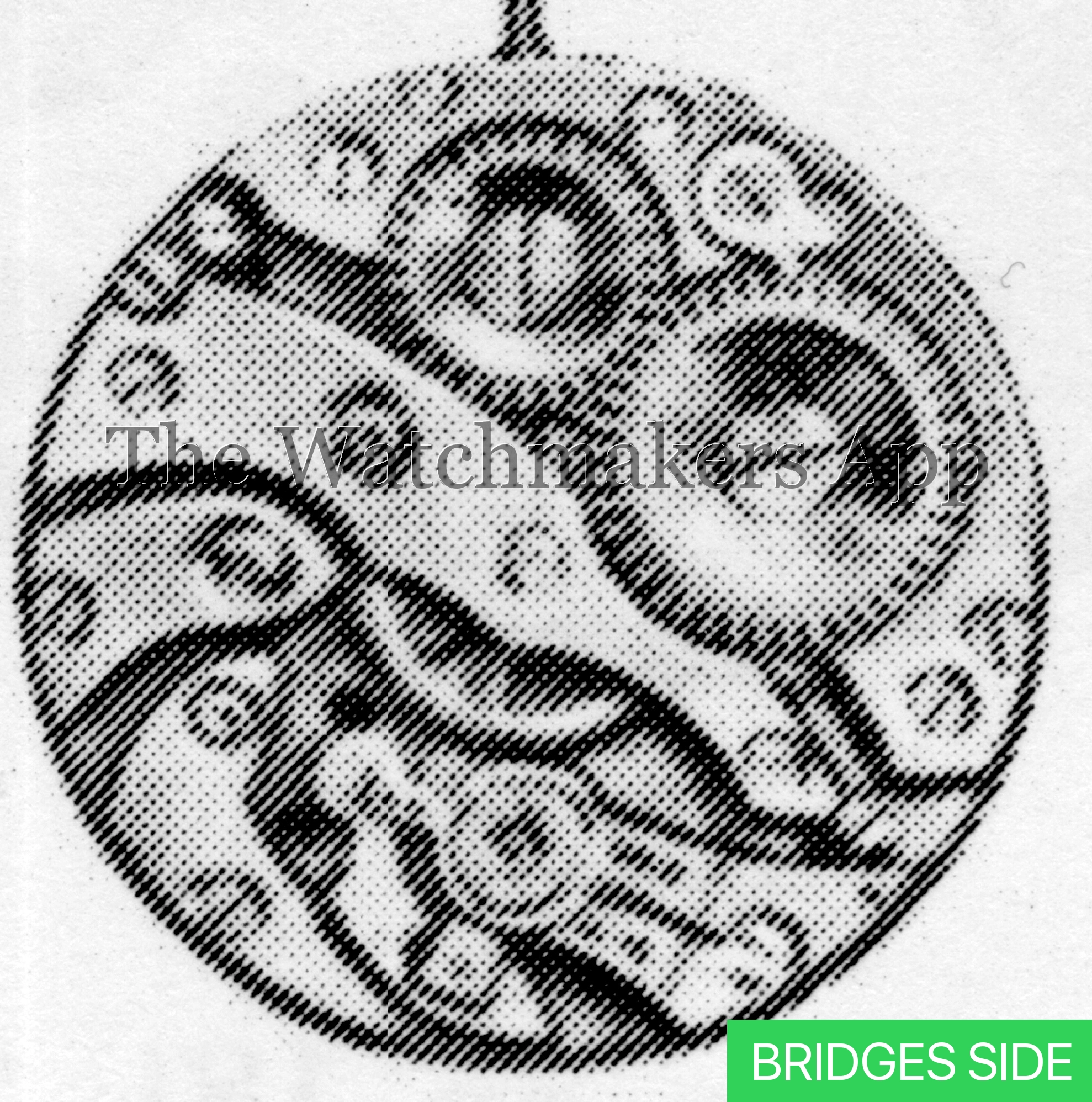 Berger 18
