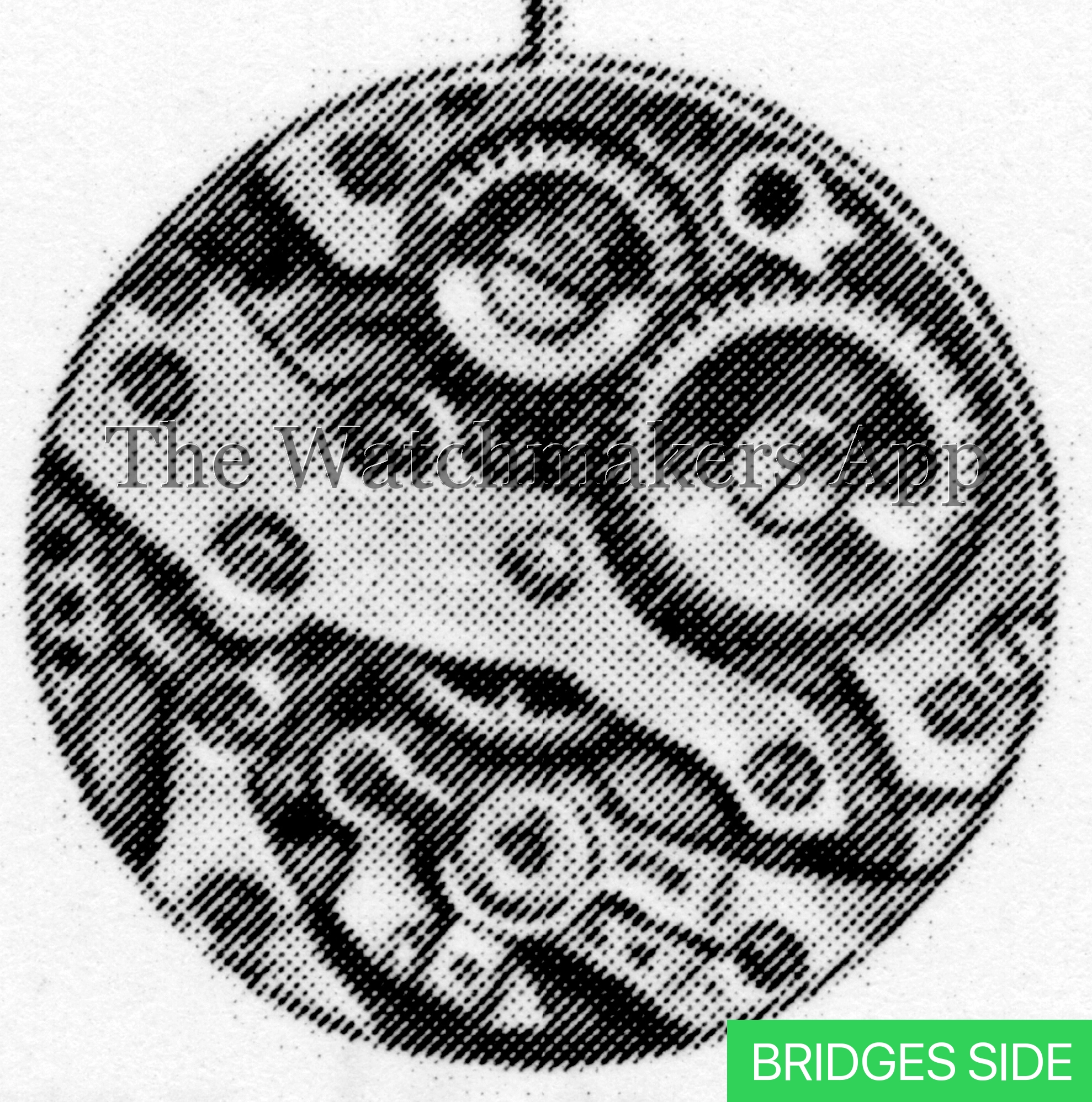 Berger 19