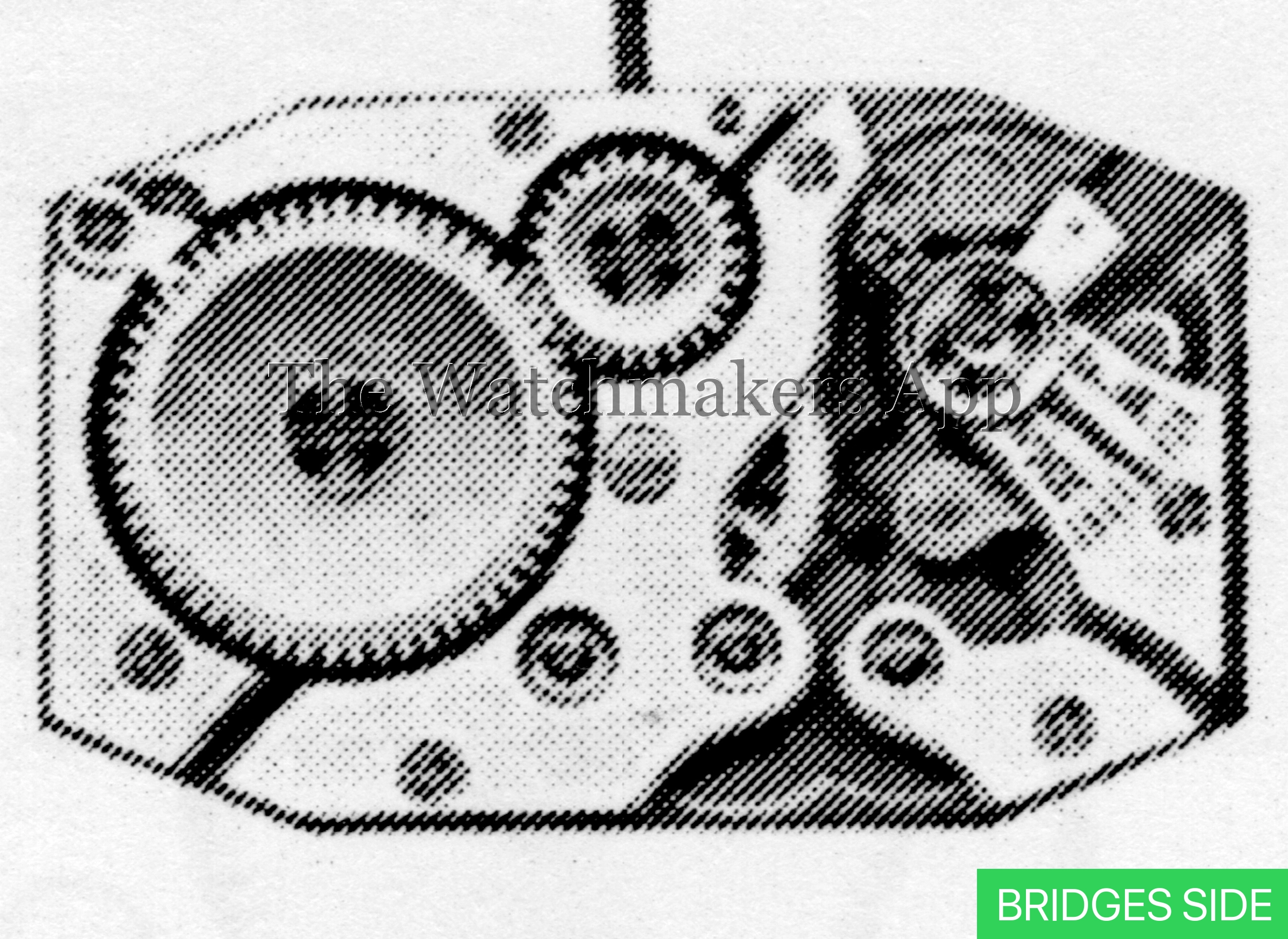 Berger 24