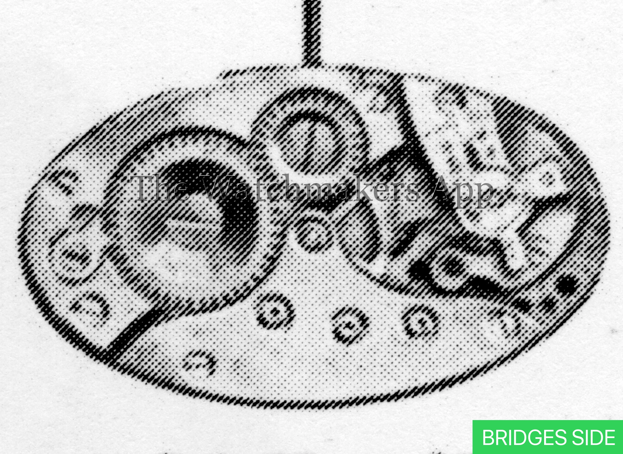 Berger 35