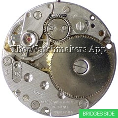 Brac 218
