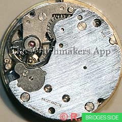Brac 511