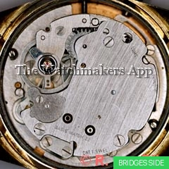 Brac 547