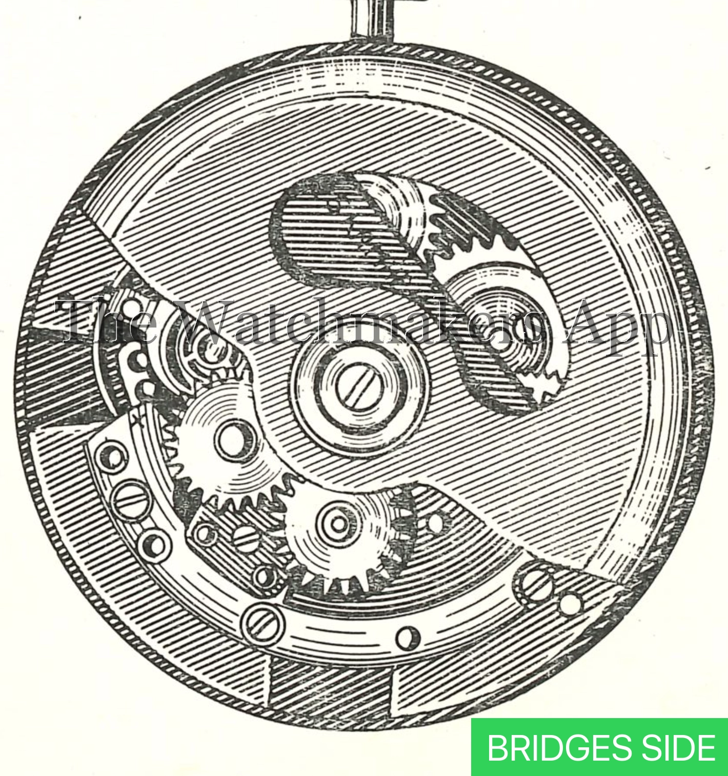 Чайка 1615