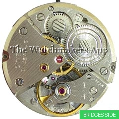 Citizen 1804