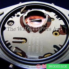 Citizen 4921