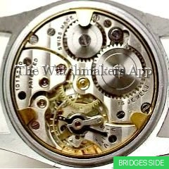 Cyma 031Kb