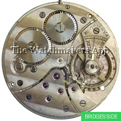 Cyma 7521, Pleiade