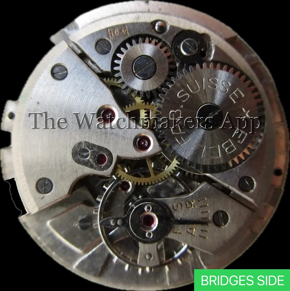 Ebel 104