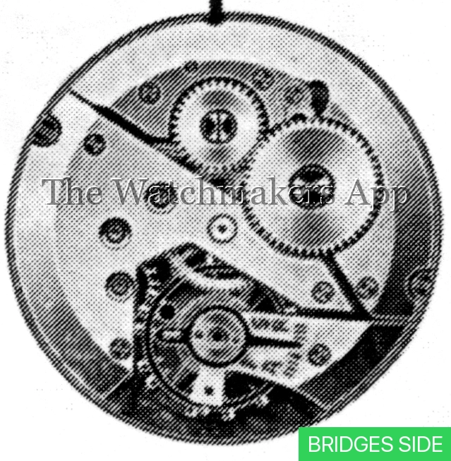 ETA 1015