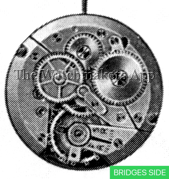 ETA 1019