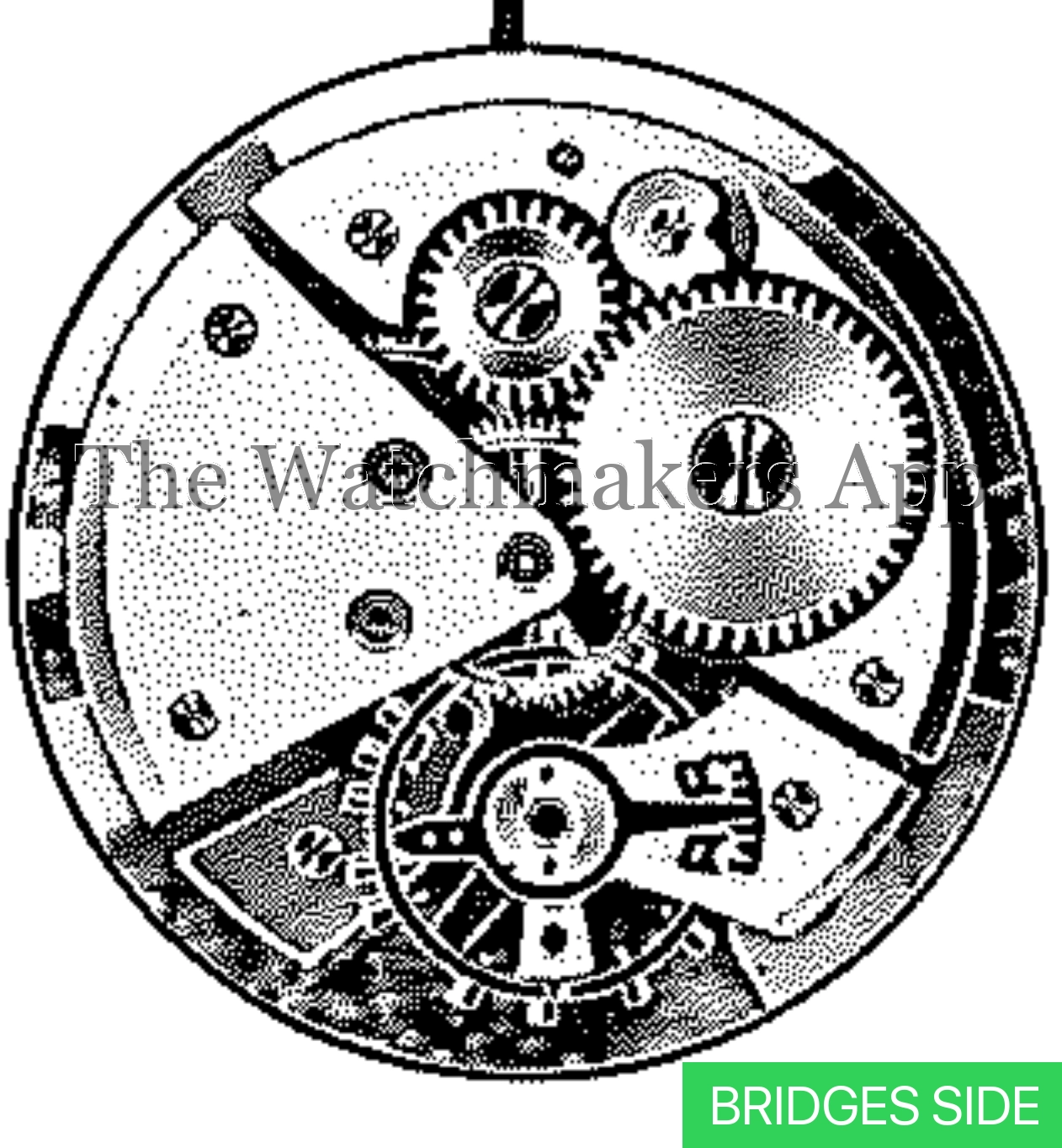 ETA 1081