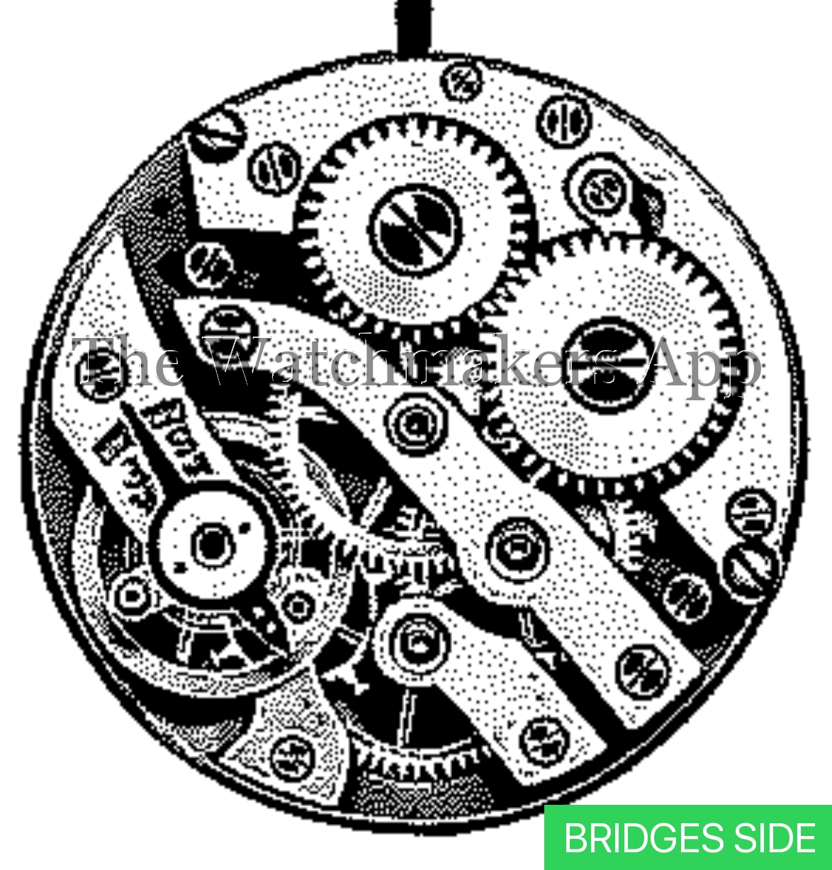 ETA 295