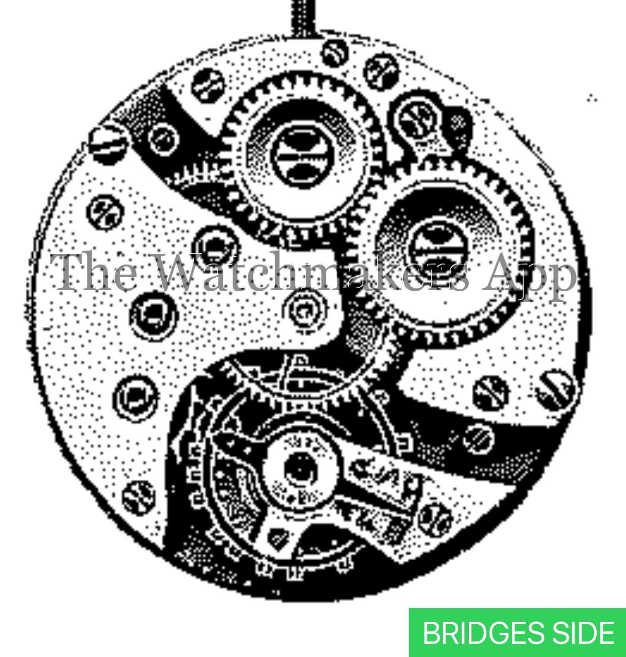 ETA 501