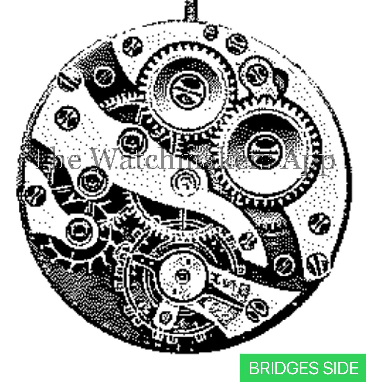 ETA 505