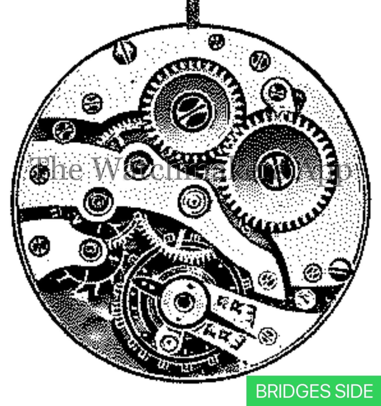 ETA 516