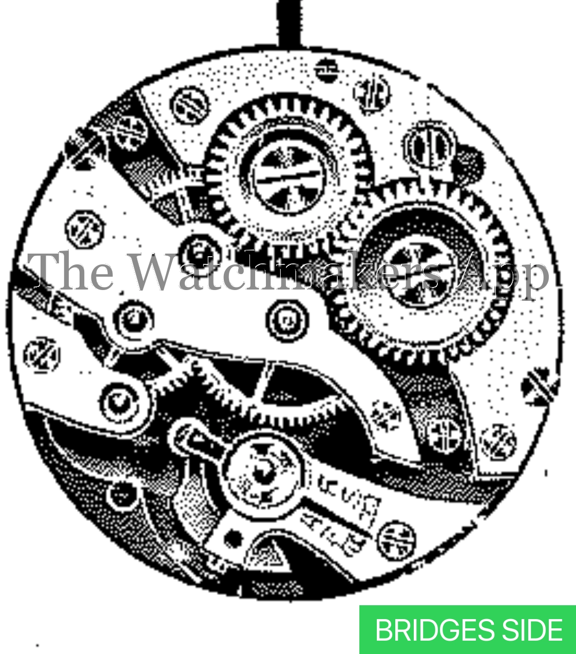 ETA 531