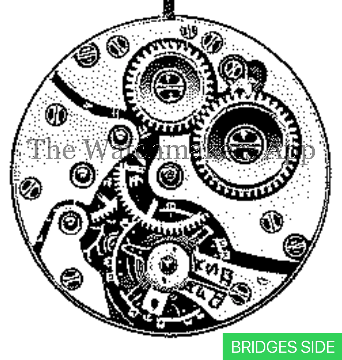 ETA 545