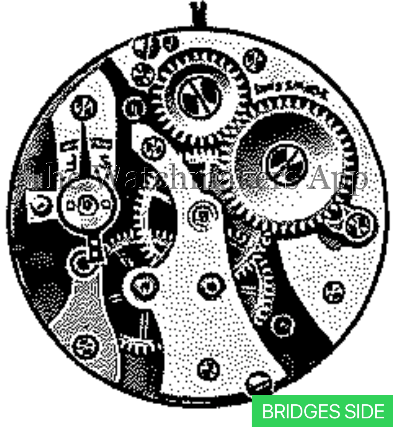 ETA 581