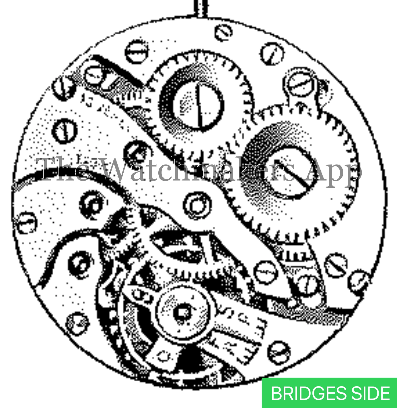 ETA 605